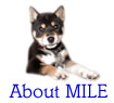 about mile