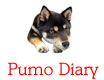 pumo dialy